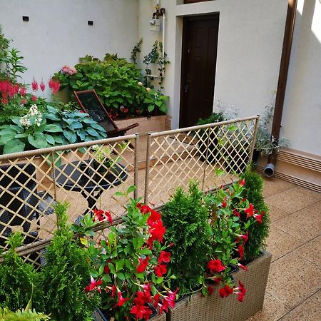 Cozy Green House 布加勒斯特 外观 照片