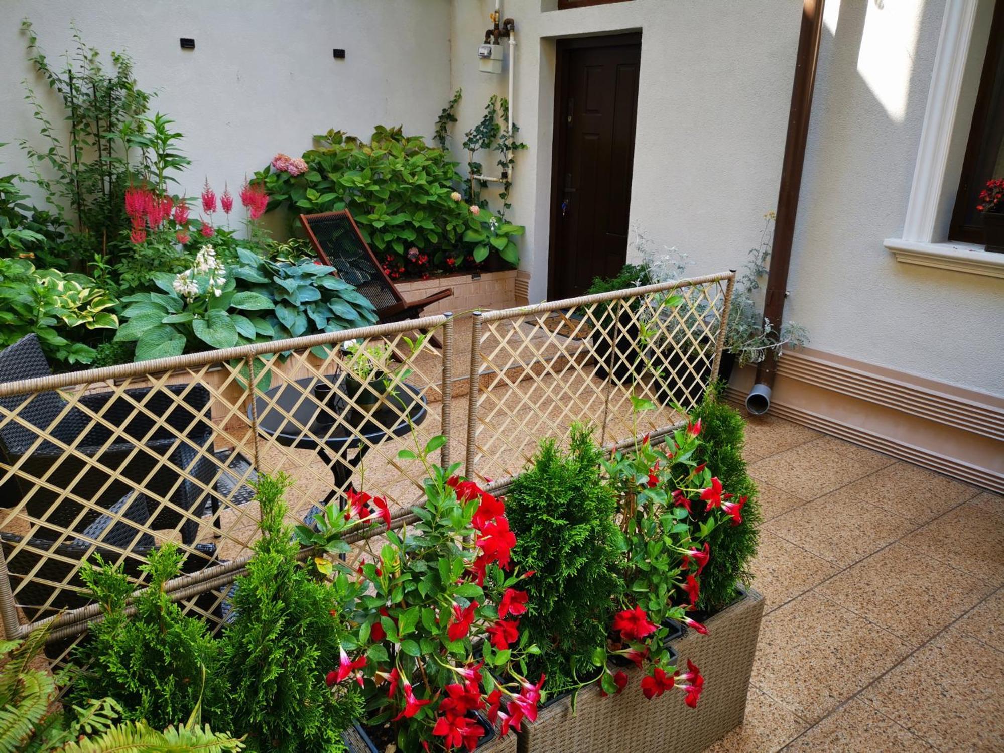 Cozy Green House 布加勒斯特 外观 照片